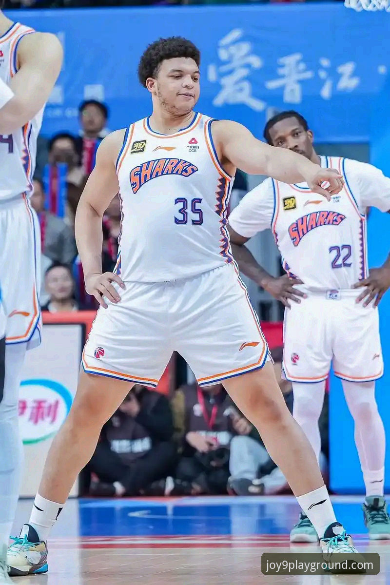 上海男篮十二连胜深度解析：团队篮球的胜利与平台观赛体验